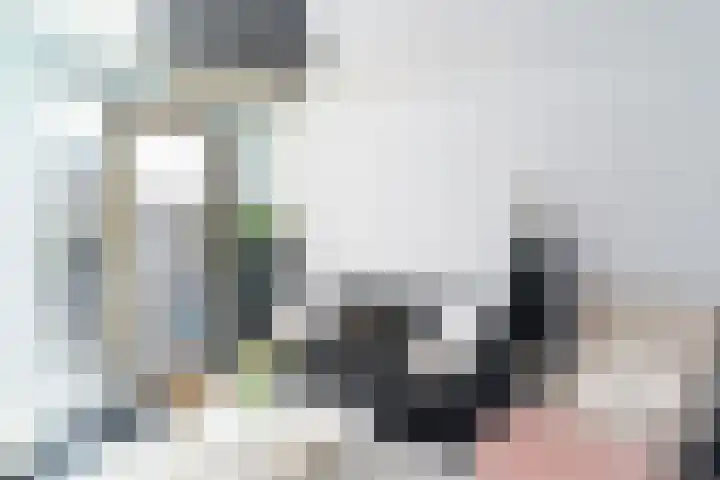 Breedkapper 25 Delft thumbnail 7