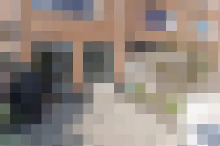 Breedkapper 25 Delft thumbnail 8