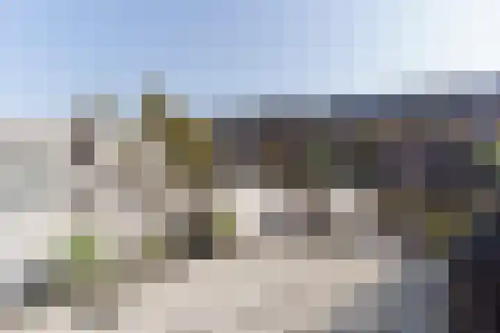Breedkapper 25 Delft thumbnail 9