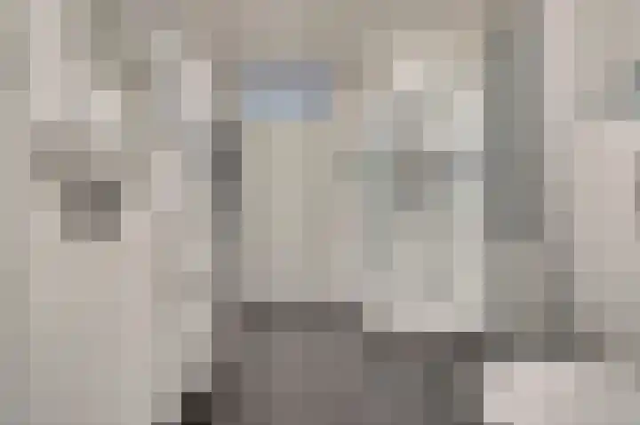 Breedkapper 4 De Lier thumbnail 20