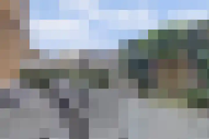 Breedkapper 4 De Lier foto 3