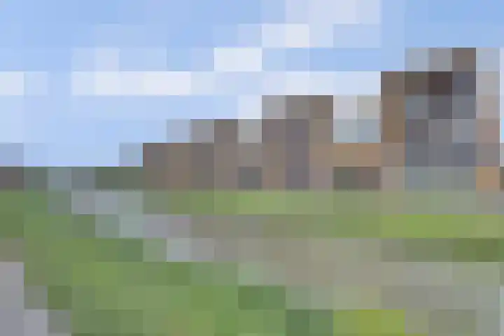 Breedkapper 4 De Lier thumbnail 33