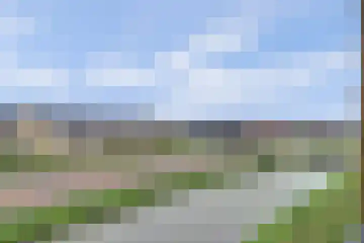 Breedkapper 4 De Lier thumbnail 34