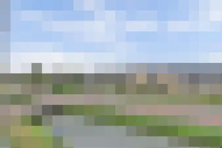 Breedkapper 4 De Lier thumbnail 35