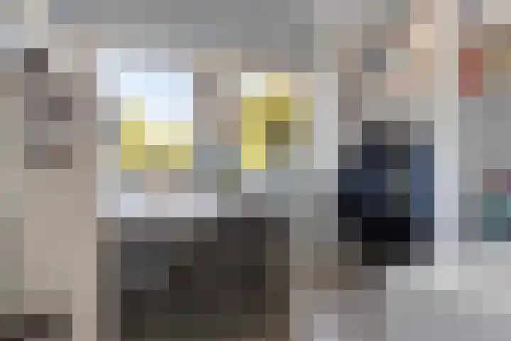 Breedpad 49 Heerenveen thumbnail 31