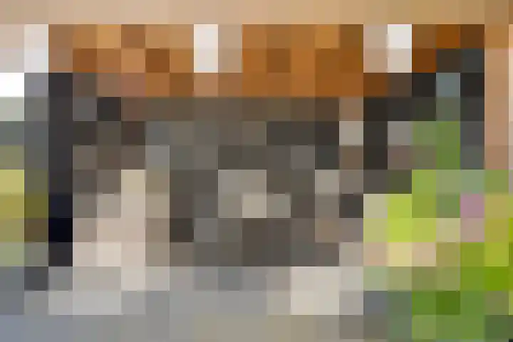 Breedpad 49 Heerenveen thumbnail 38
