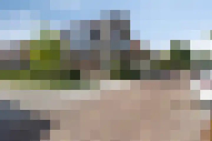 Breedpad 49 Heerenveen thumbnail 4