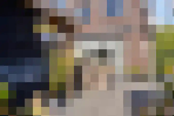 Breedpad 49 Heerenveen thumbnail 41