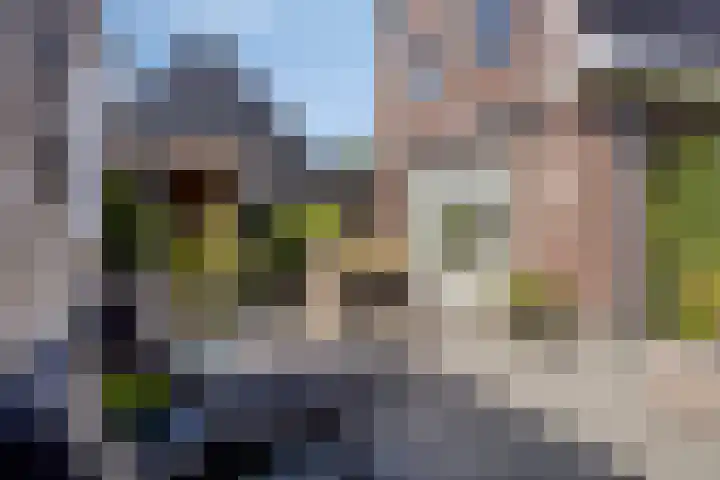 Breedpad 49 Heerenveen thumbnail 42