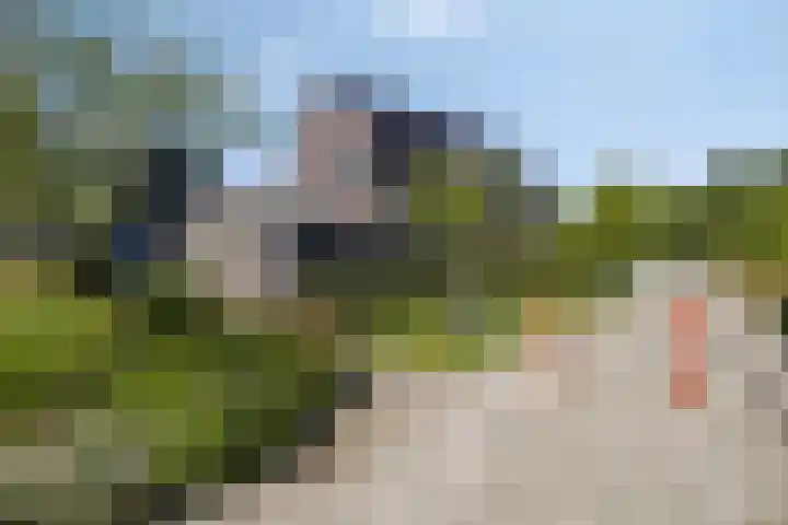 Breedpad 49 Heerenveen thumbnail 47