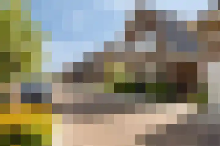 Breedpad 49 Heerenveen thumbnail 6