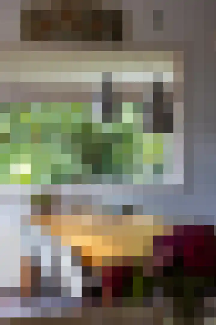 Breedveldsingel 93 Rotterdam thumbnail 14