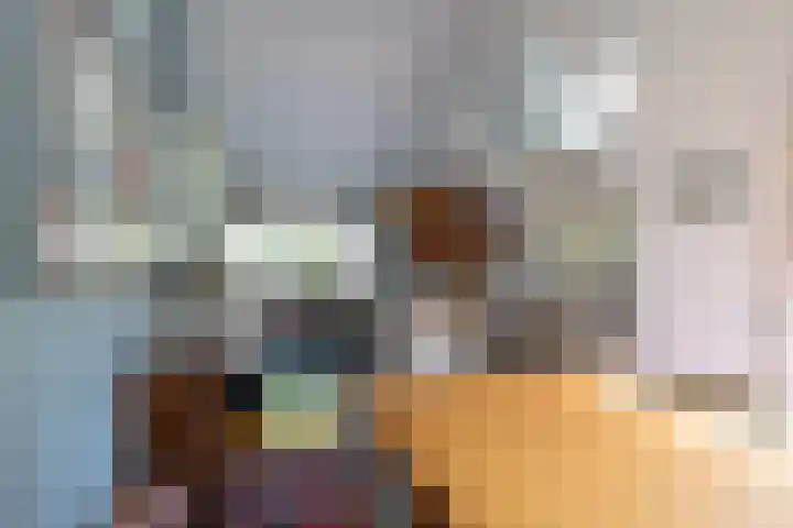 Breedveldsingel 93 Rotterdam thumbnail 20