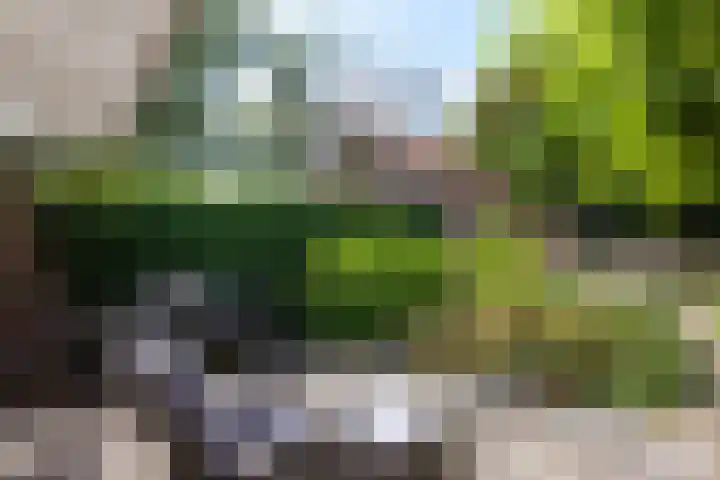 Breedveldsingel 93 Rotterdam thumbnail 35