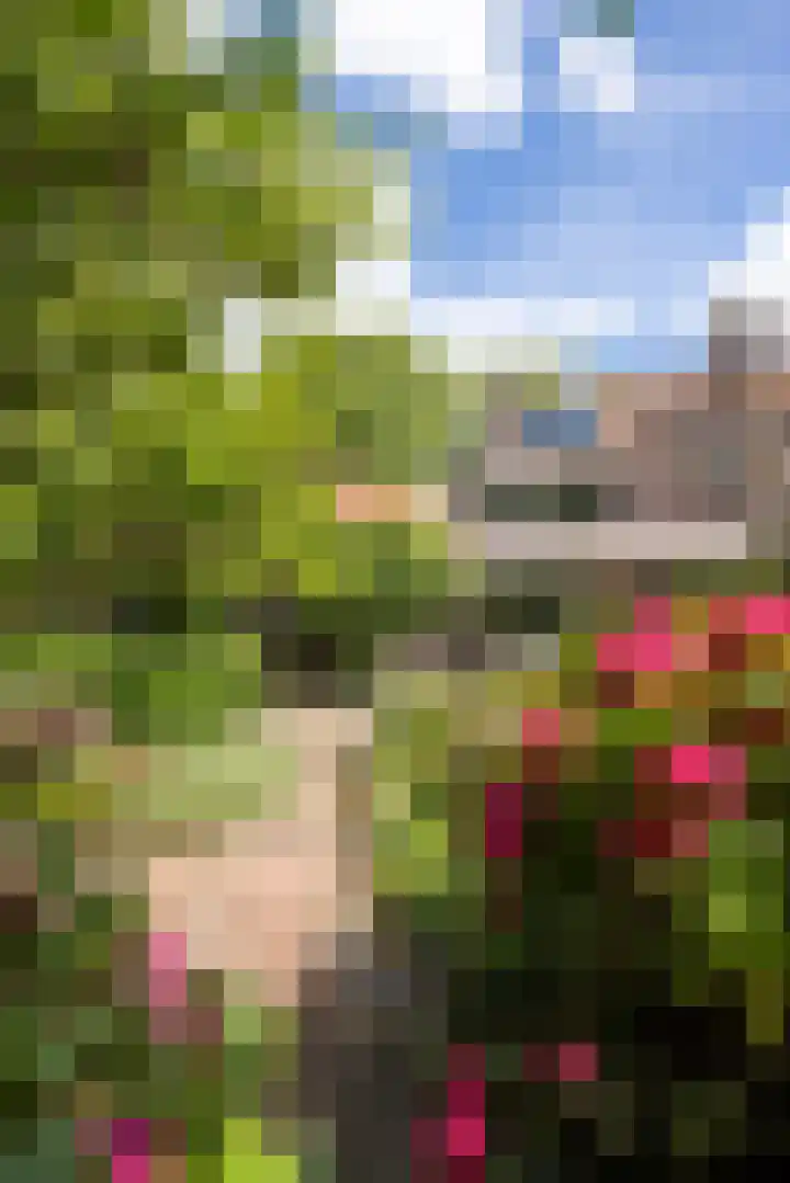 Breedveldsingel 93 Rotterdam thumbnail 39
