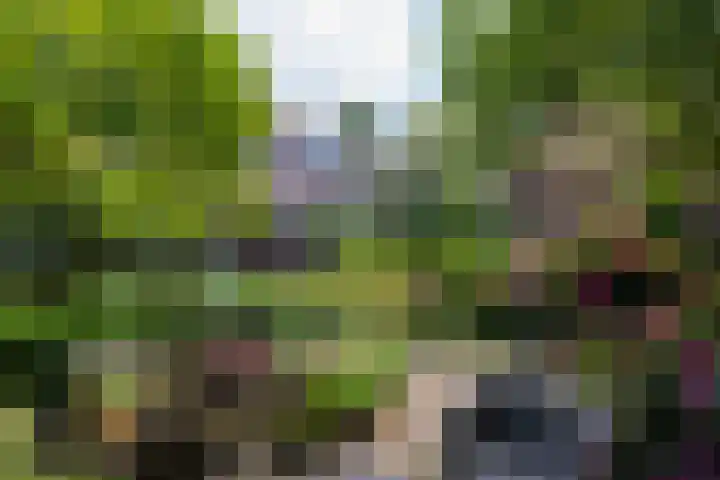 Breedveldsingel 93 Rotterdam thumbnail 40