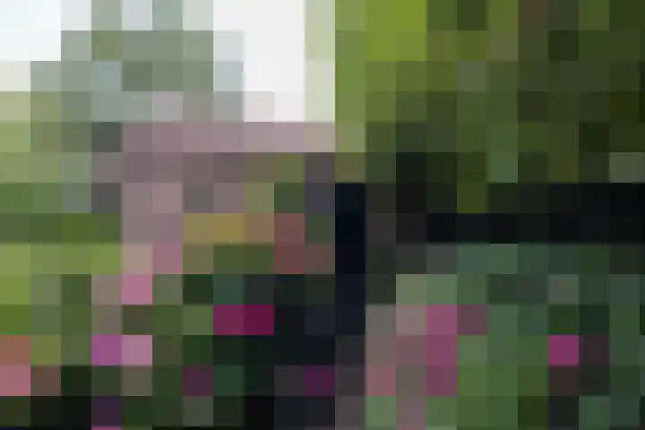 Breedveldsingel 93 Rotterdam thumbnail 44