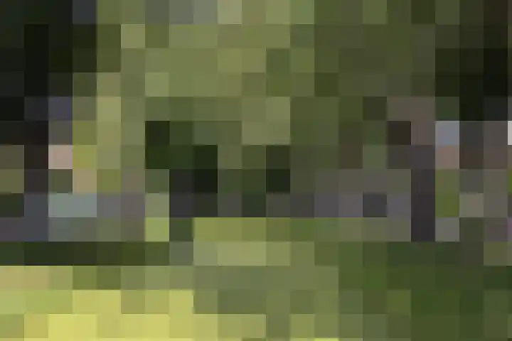 Breedveldsingel 93 Rotterdam thumbnail 47