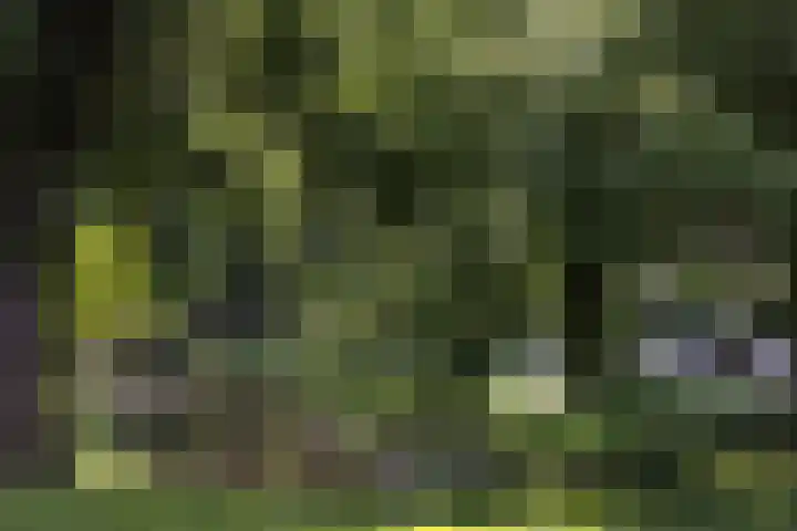 Breedveldsingel 93 Rotterdam thumbnail 5