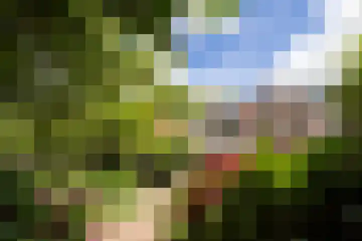 Breedveldsingel 93 Rotterdam thumbnail 55