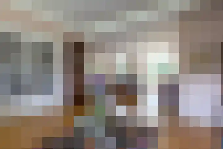 Breedveldsingel 93 Rotterdam thumbnail 8