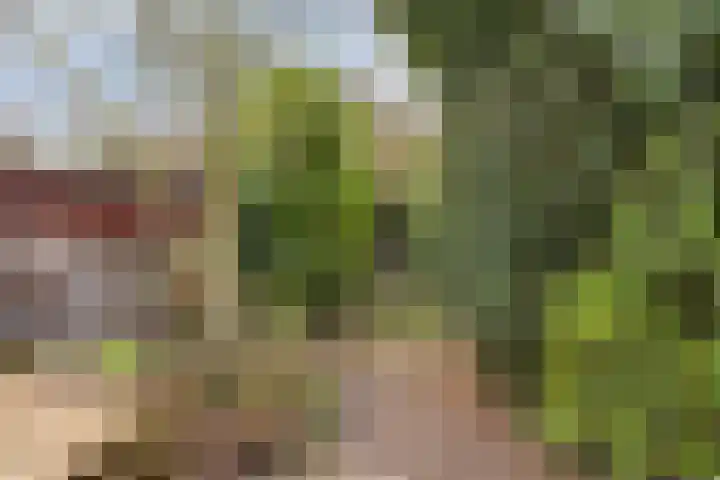Breegraven 24 Warnsveld thumbnail 30