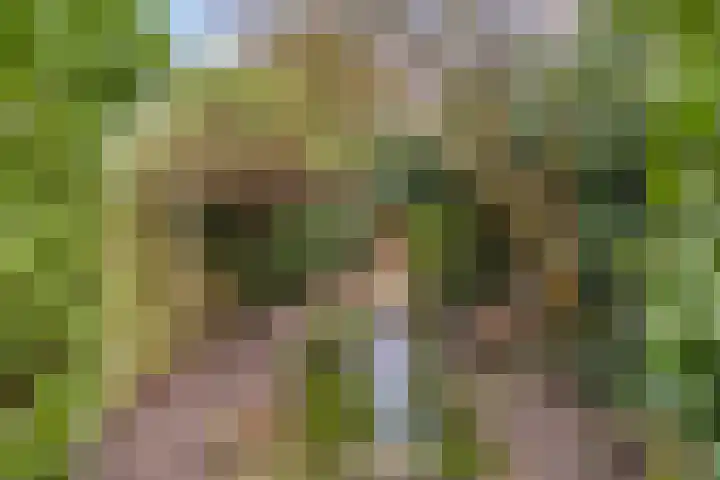 Breegraven 24 Warnsveld thumbnail 32