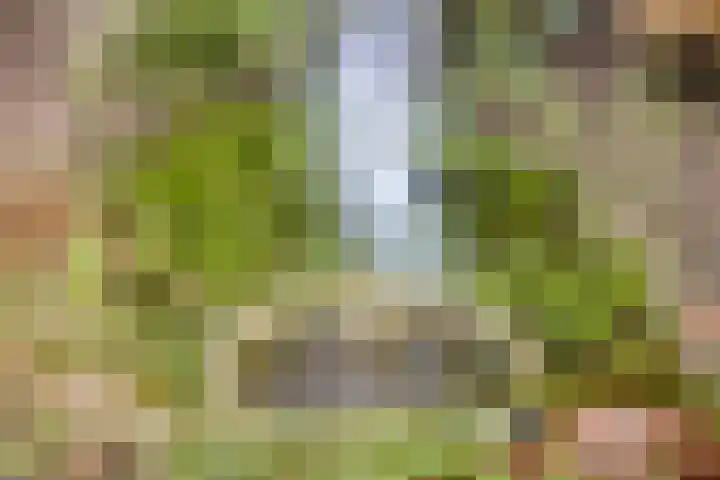 Breegraven 24 Warnsveld thumbnail 33