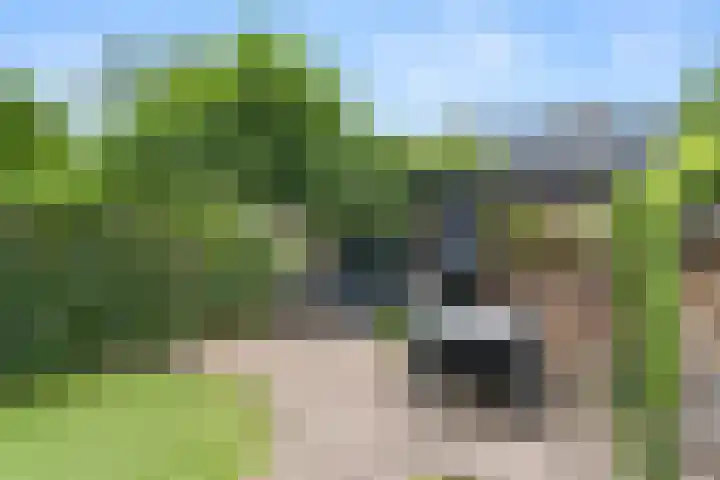 Breehoven 42 Bennekom thumbnail 14