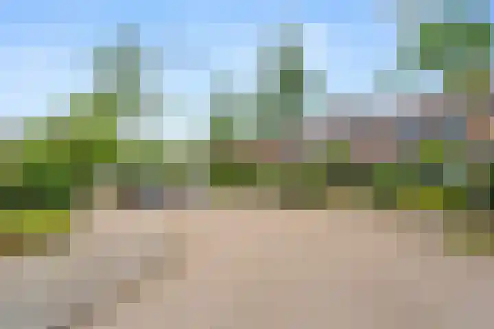 Breehoven 42 Bennekom thumbnail 4