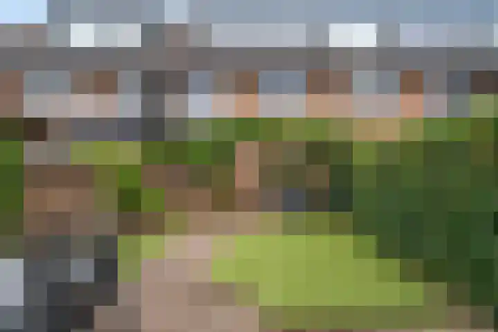 Breehoven 42 Bennekom thumbnail 9