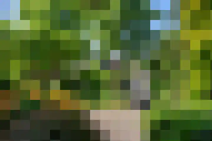 Breehoven 51 Bennekom thumbnail 12