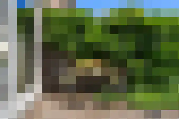 Breehoven 51 Bennekom thumbnail 16