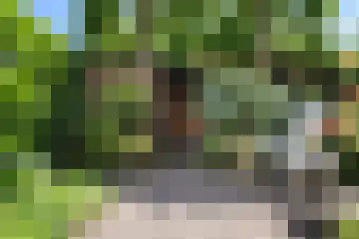 Breehoven 51 Bennekom thumbnail 17