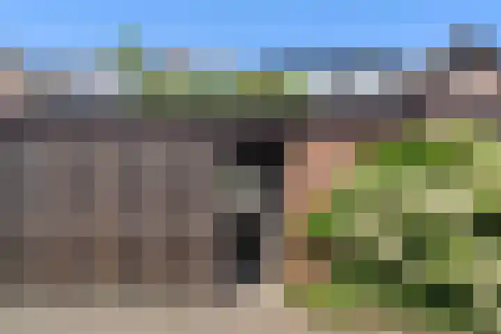 Breehoven 51 Bennekom thumbnail 22
