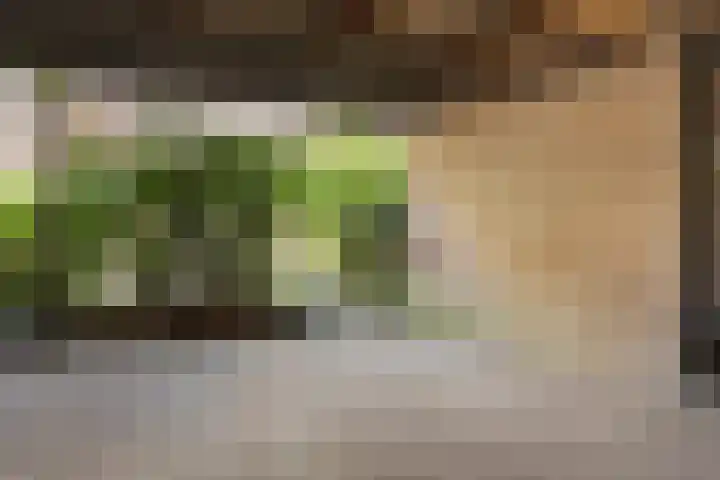 Breehoven 51 Bennekom thumbnail 4