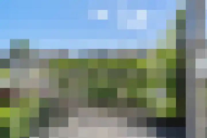 Breehoven 51 Bennekom thumbnail 40