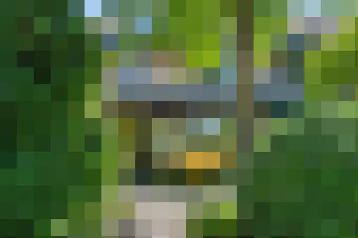 Breehoven 51 Bennekom thumbnail 56