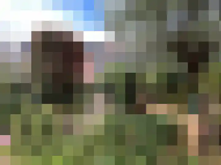 Breekamp 49 Beilen thumbnail 11
