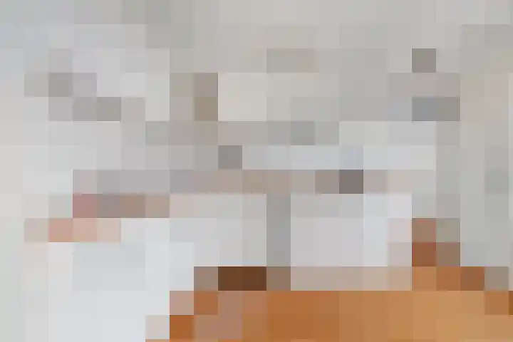 Breekamp 49 Beilen thumbnail 13