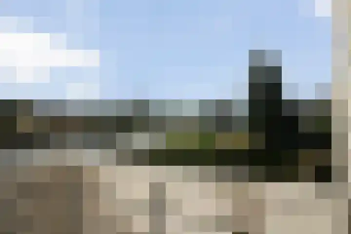 Breekamp 49 Beilen thumbnail 24