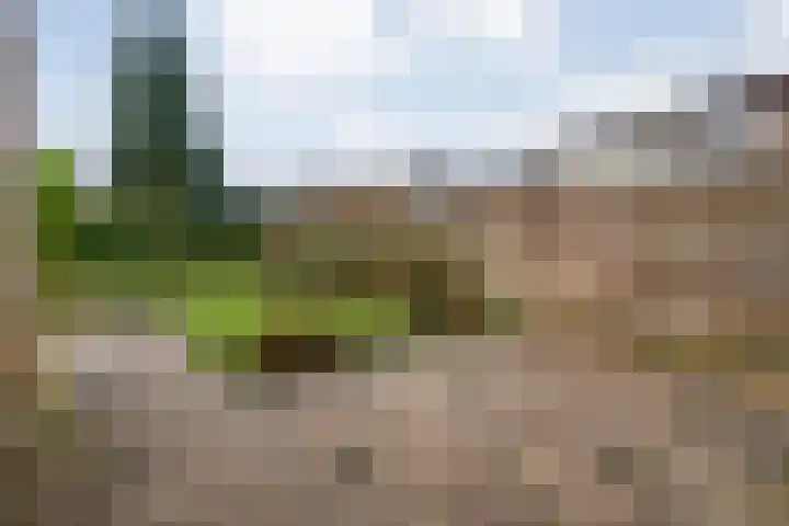 Breekamp 49 Beilen thumbnail 31