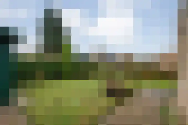 Breekamp 49 Beilen thumbnail 34