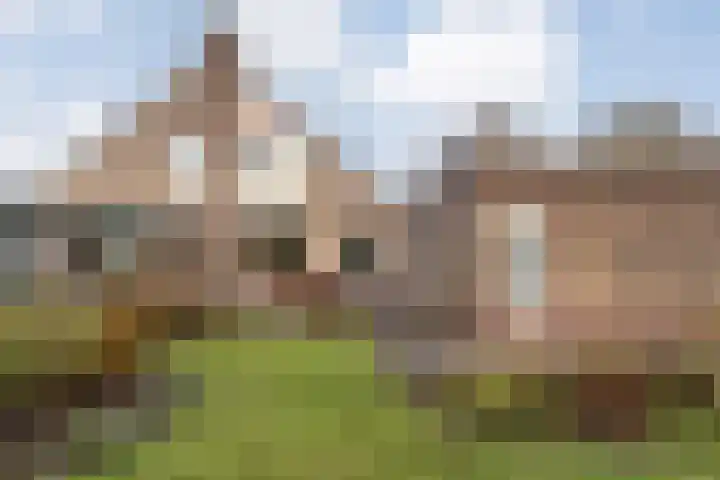 Breekamp 49 Beilen thumbnail 36