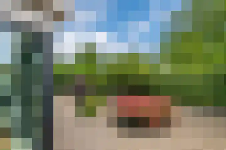 Breekamp 49 Beilen thumbnail 4