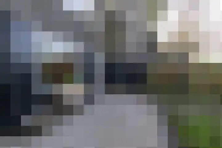 Breelaan 8 Oudorp thumbnail 17