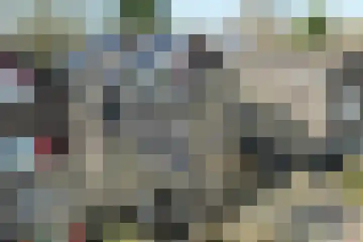 Breelaan 8 Oudorp thumbnail 41