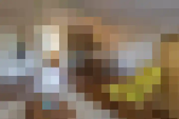 Breelaan 8 Oudorp thumbnail 5
