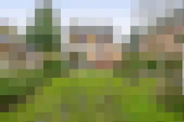Breenstraat 41 Goedereede thumbnail 34