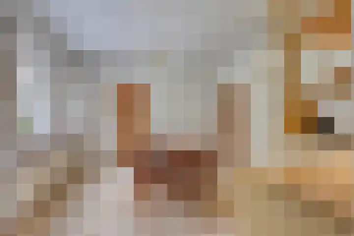 Breestraat 1 Hoogeloon thumbnail 23